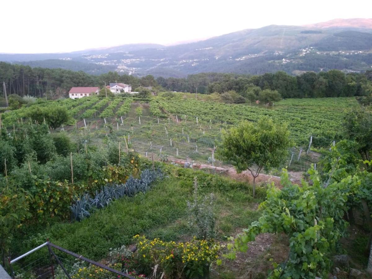 Lugar Del Pazo Nª9-Albeos Villa Eksteriør billede